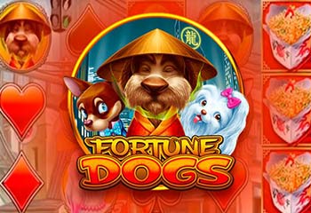 Fortune Dogs